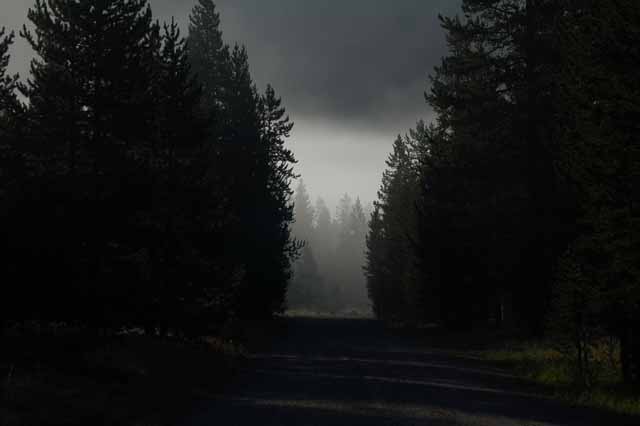 early morning fog at Flagg Ranch
